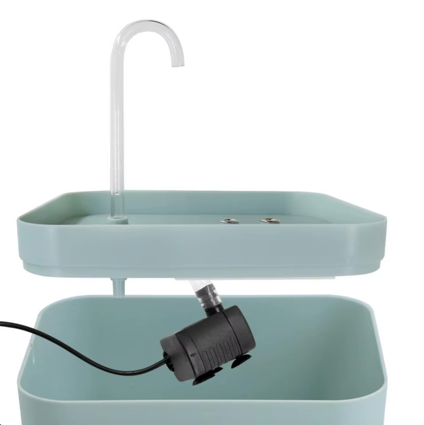 Water fountain for optimal hydration of your cat
